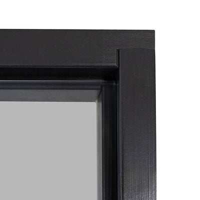 PROSAUNAS Tinted glass sauna door 24 x 73
